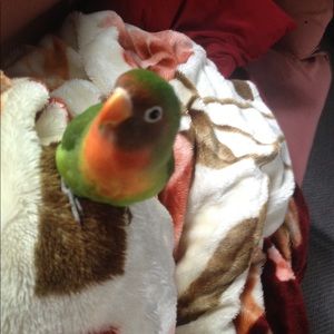 Meet your Posher, Maribel